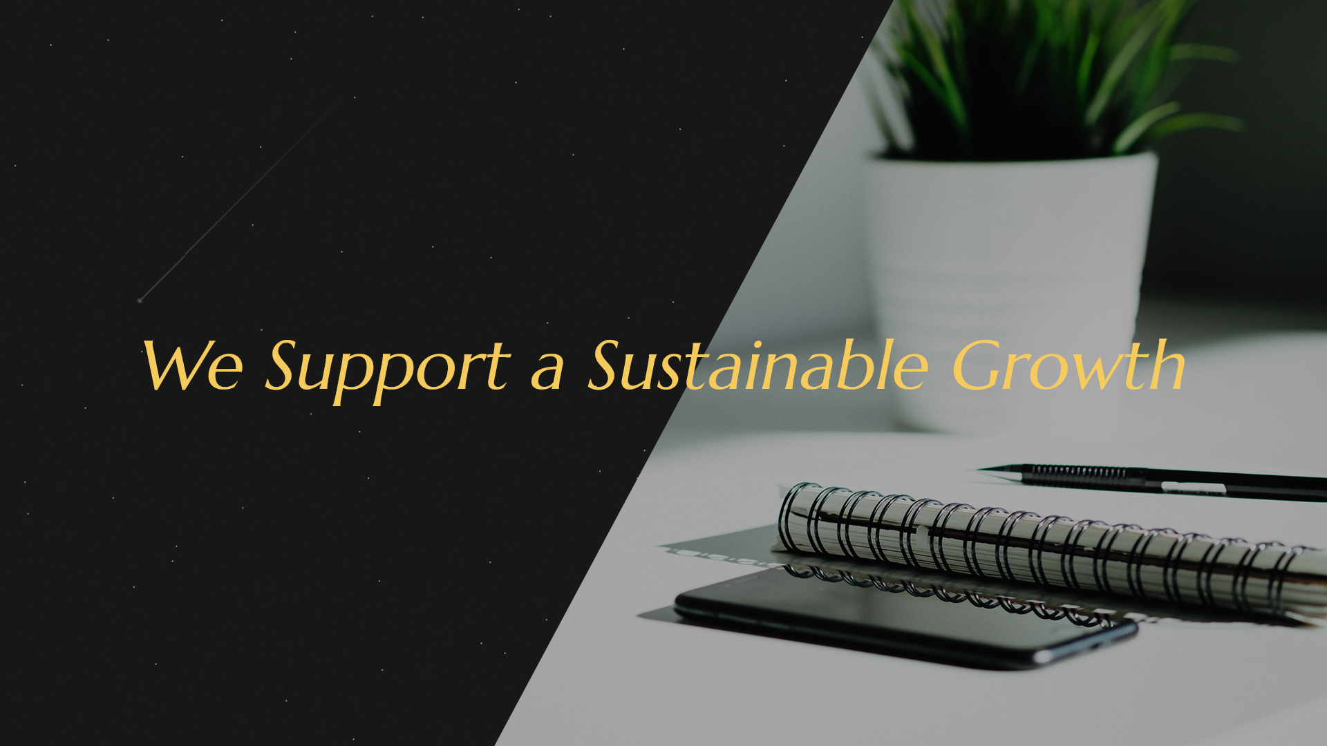 We Support a Sustainable Growth
